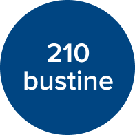 icona 210 bustine