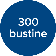 icona 300 bustine